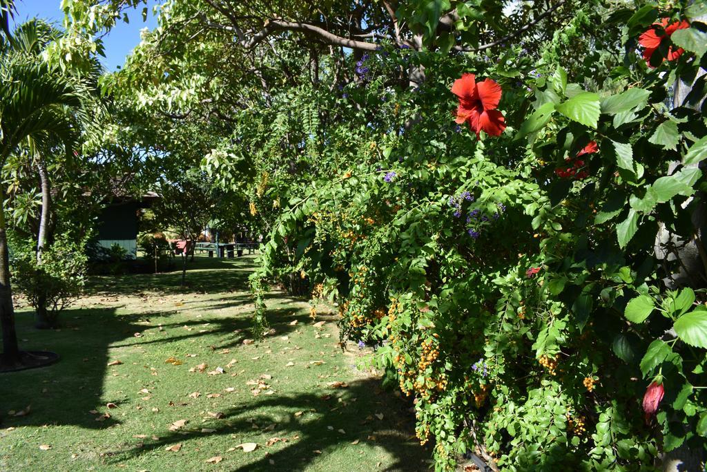 Nona Lani Cottages คิเฮอิ ภายนอก รูปภาพ