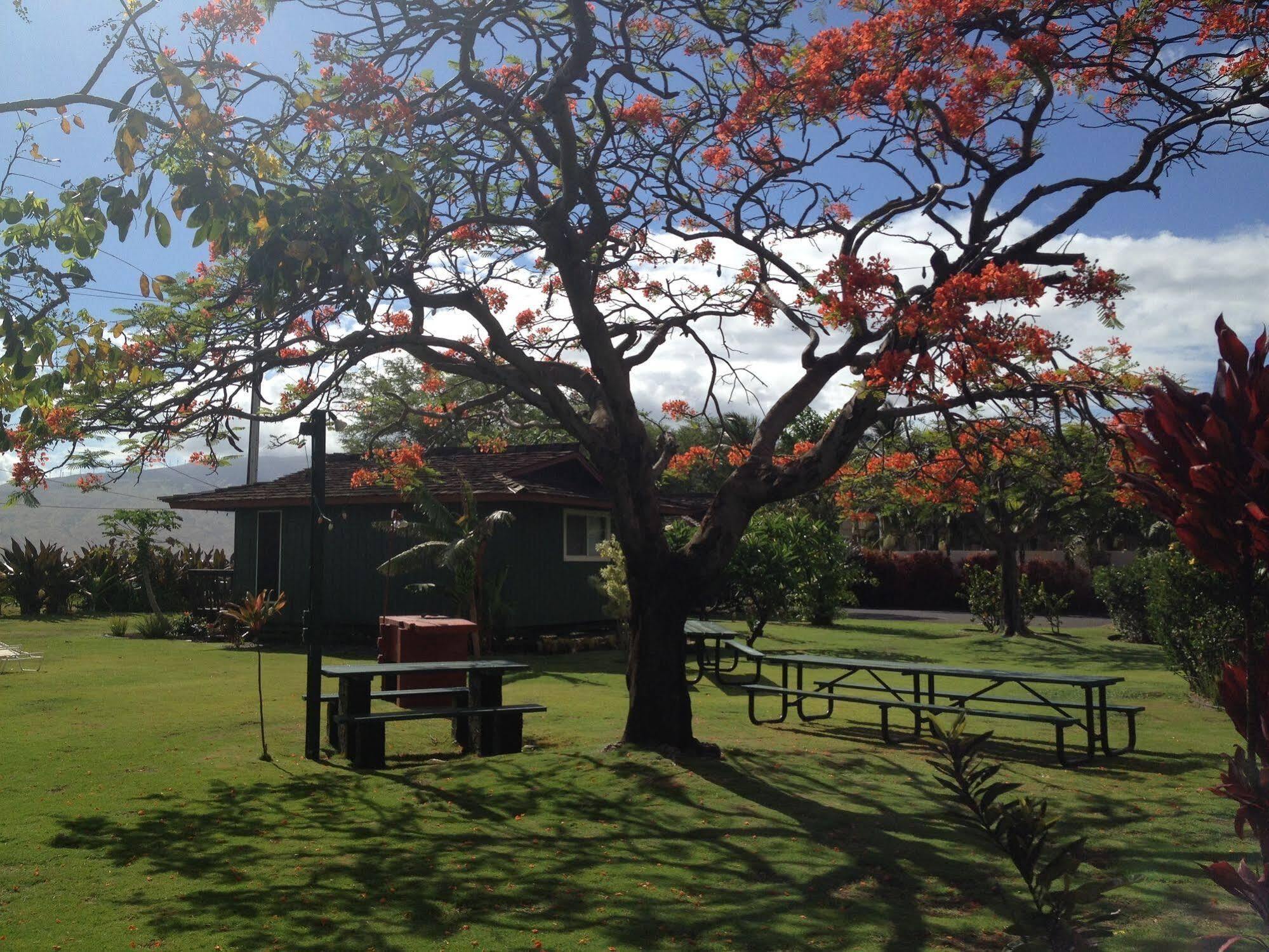 Nona Lani Cottages คิเฮอิ ภายนอก รูปภาพ